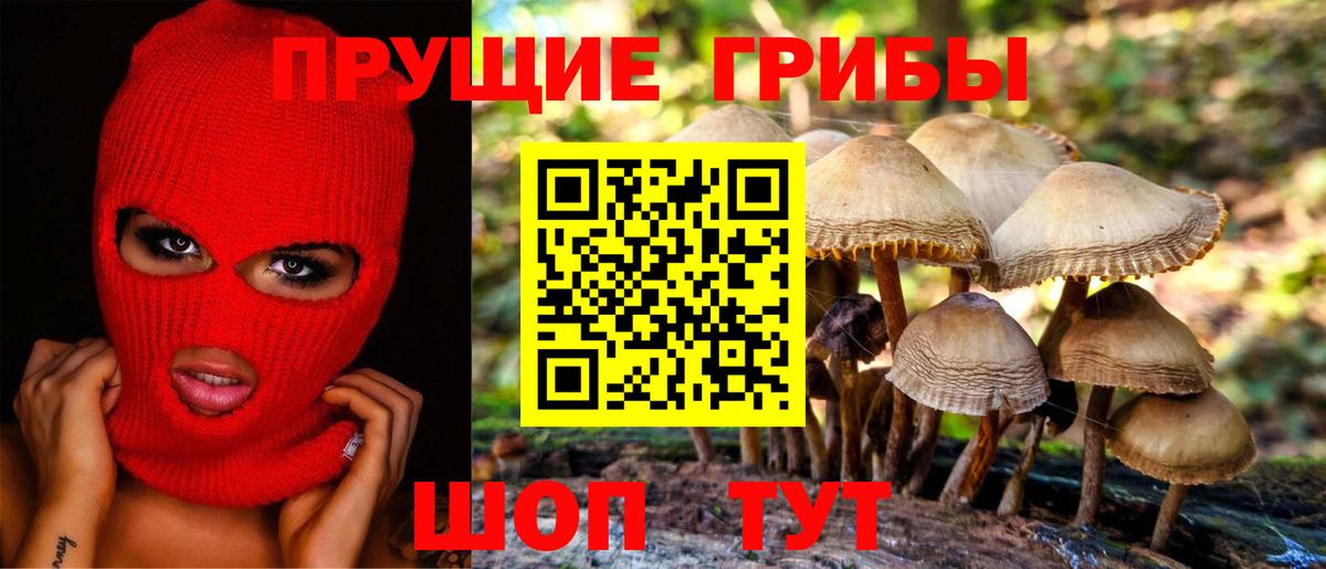 Бердск  Псилоцибиновые грибы Magic Shrooms  Вход с VPN 