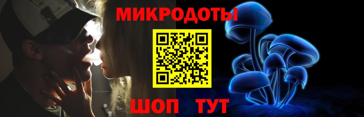 Псилоцибиновые грибы Psilocybine cubensis Бердск