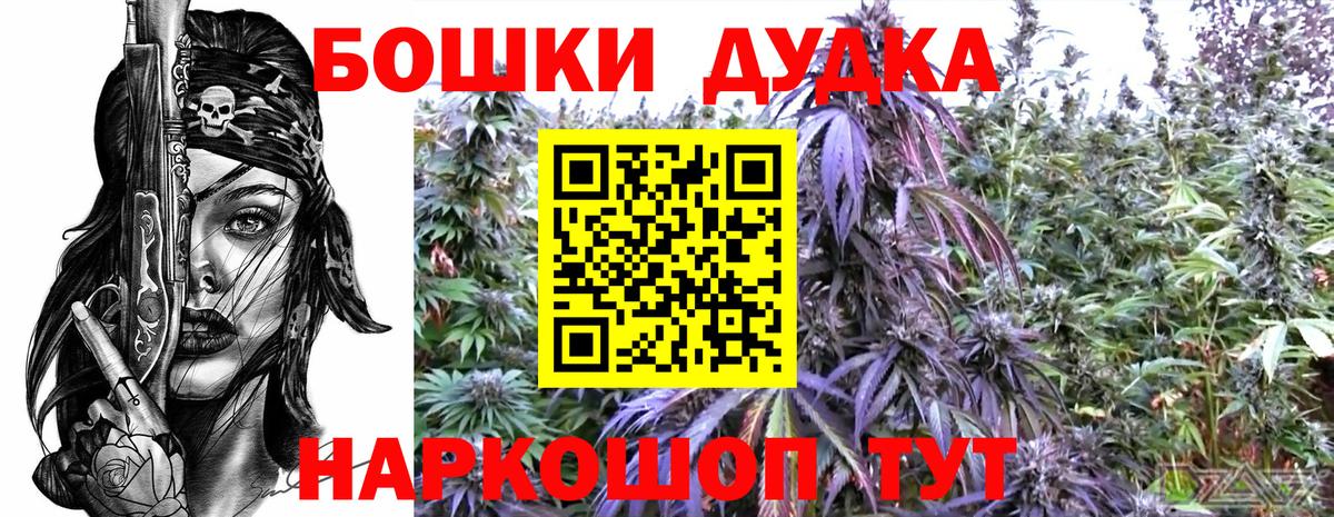 Каннабис тримм  Вход с VPN  Бошки марихуана Bruce Banner  Бердск  Марихуана Ganja 